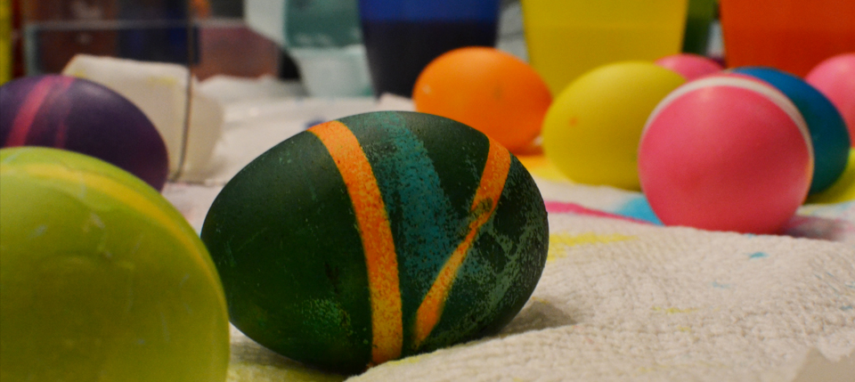 eggs