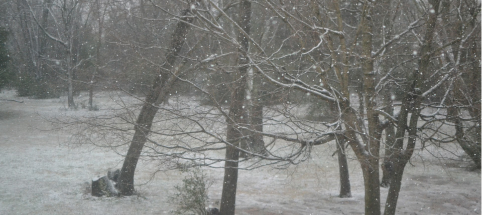 snow